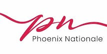 Phoenix Hair Styling Accessories
