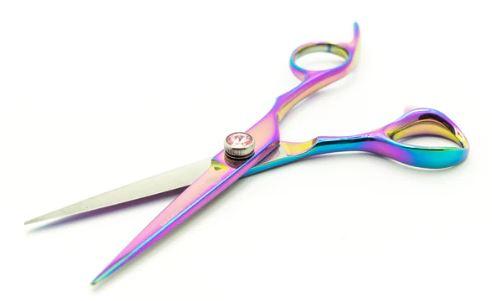 Noah 6.0 Scissors