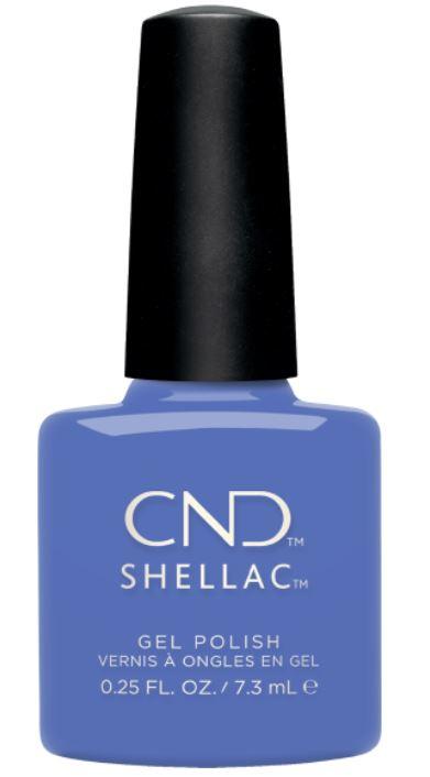 Shellac Motley Blue Ltd Ed