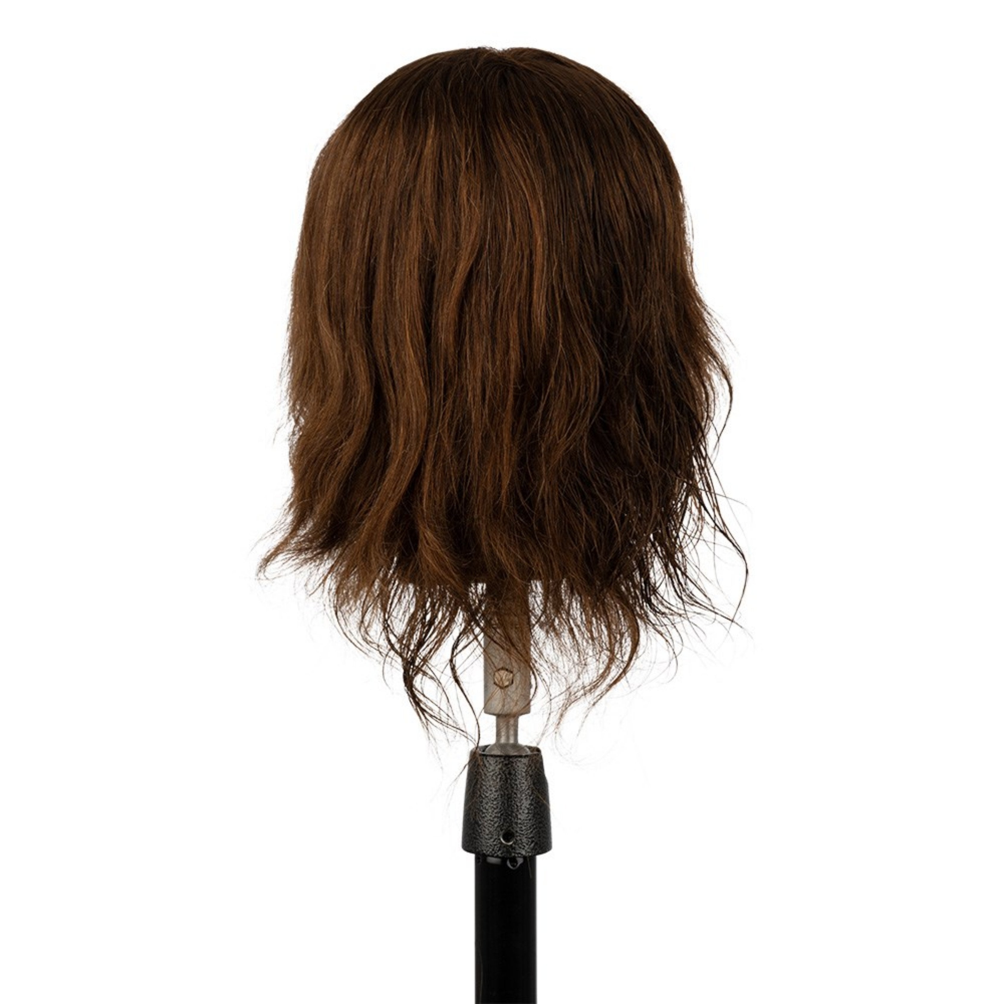 Mannequin- Brown INDIA David Male 14inch