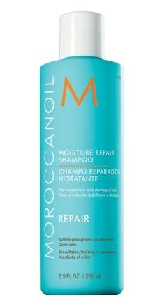 Moroccanoil Moist Repair Shampoo 250ml