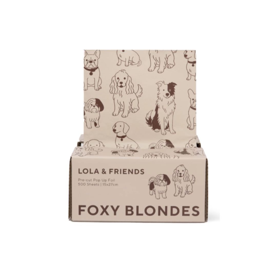 Foxy Pop Up 15x27cm Lola & Friends