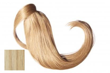 A/H Ponytail #613/10 Blonde/Caramel 18in