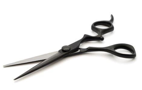 Raven Black 6.0 Scissors