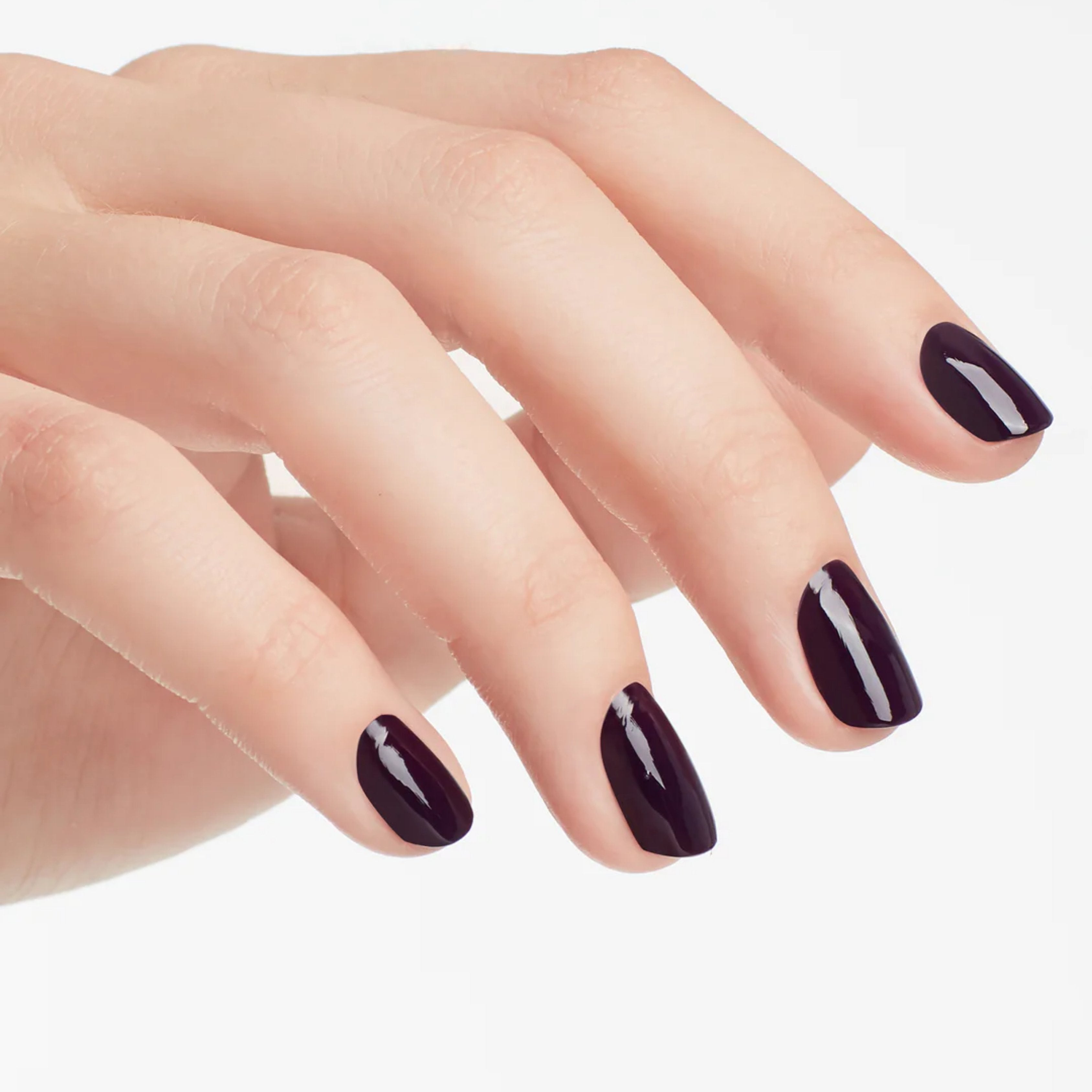 Lacquer - O Suzi Mio