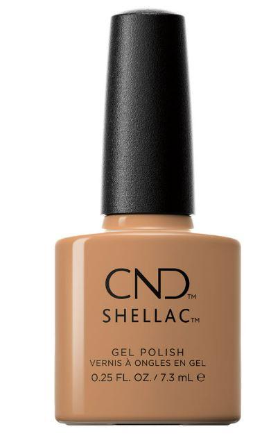 Shellac Running Late