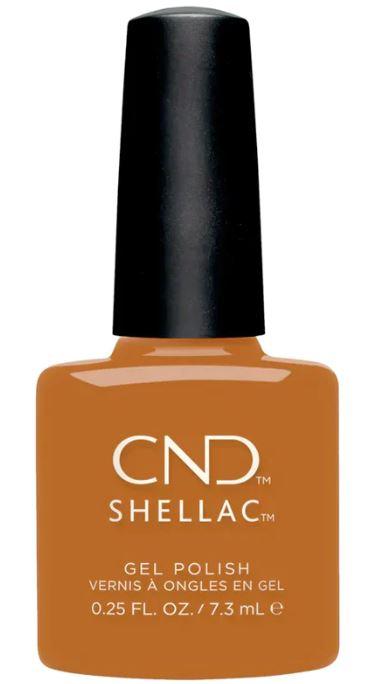 Shellac Willow Talk