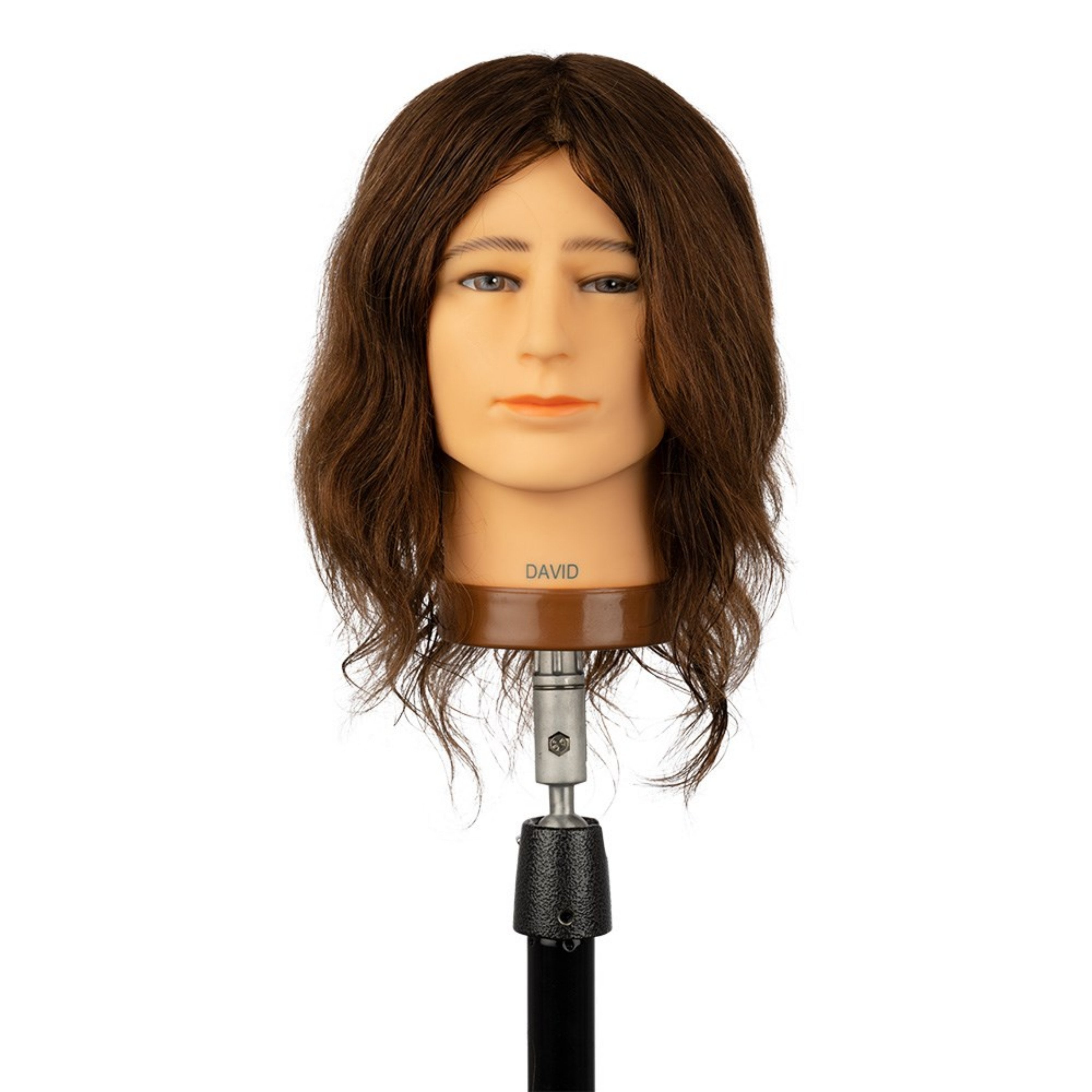 Mannequin- Brown INDIA David Male 14inch