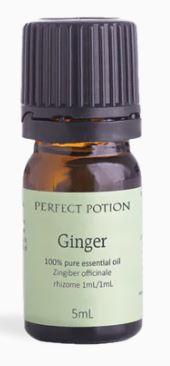 Ginger Oil 5mL