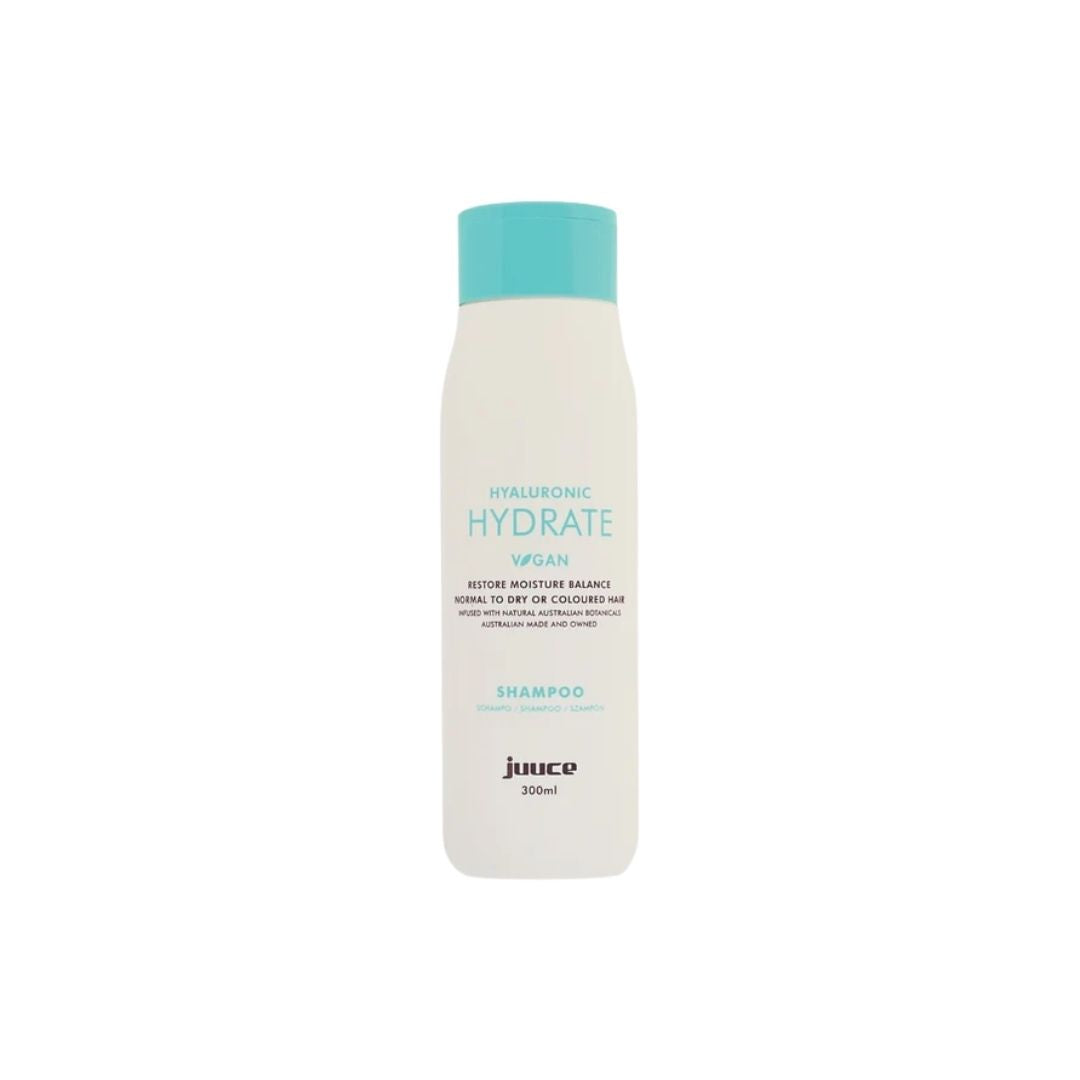 Product JVHH300DUO
