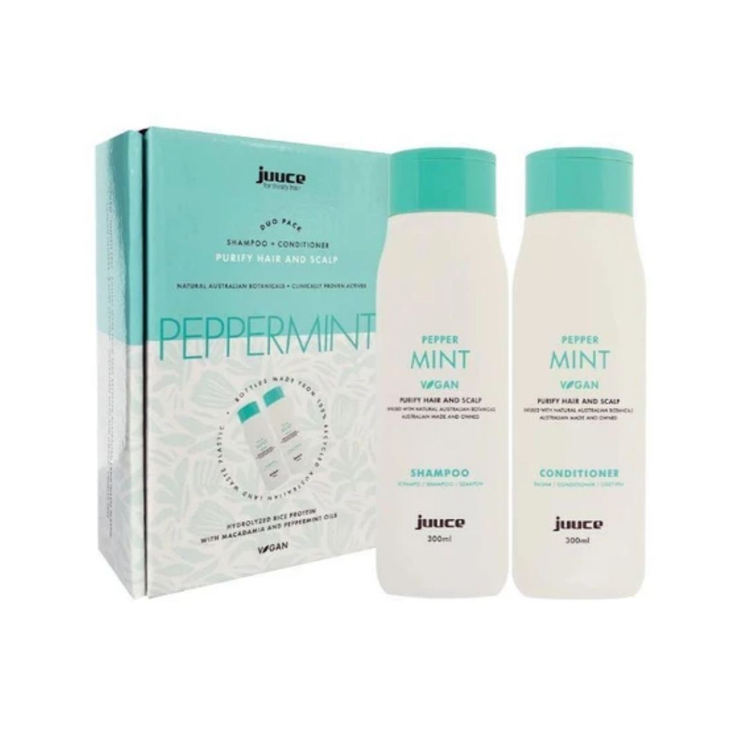 Product JVPM300DUO