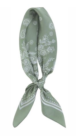 Product TTOMOSS04