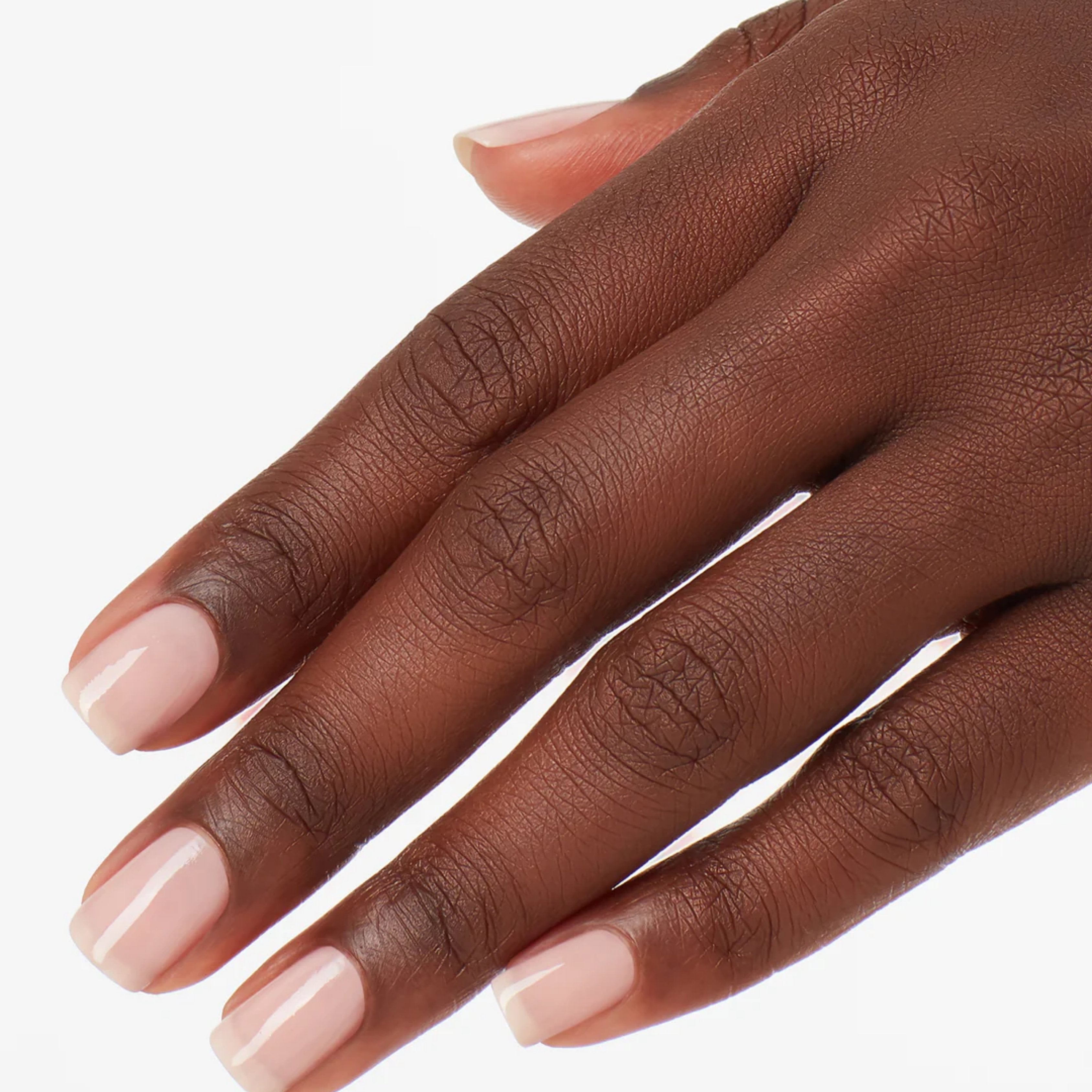 Lacquer - Put It In Neutral