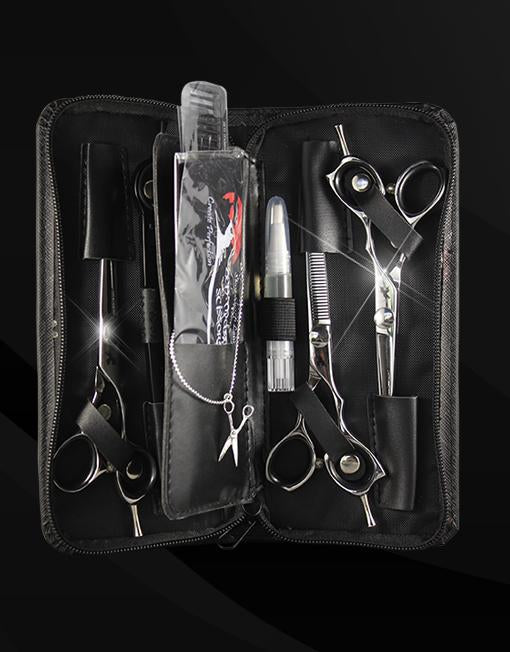 Zen Student Kit Silver Edition