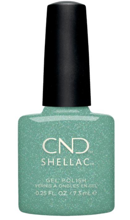 Shellac Clash Out Ltd Ed