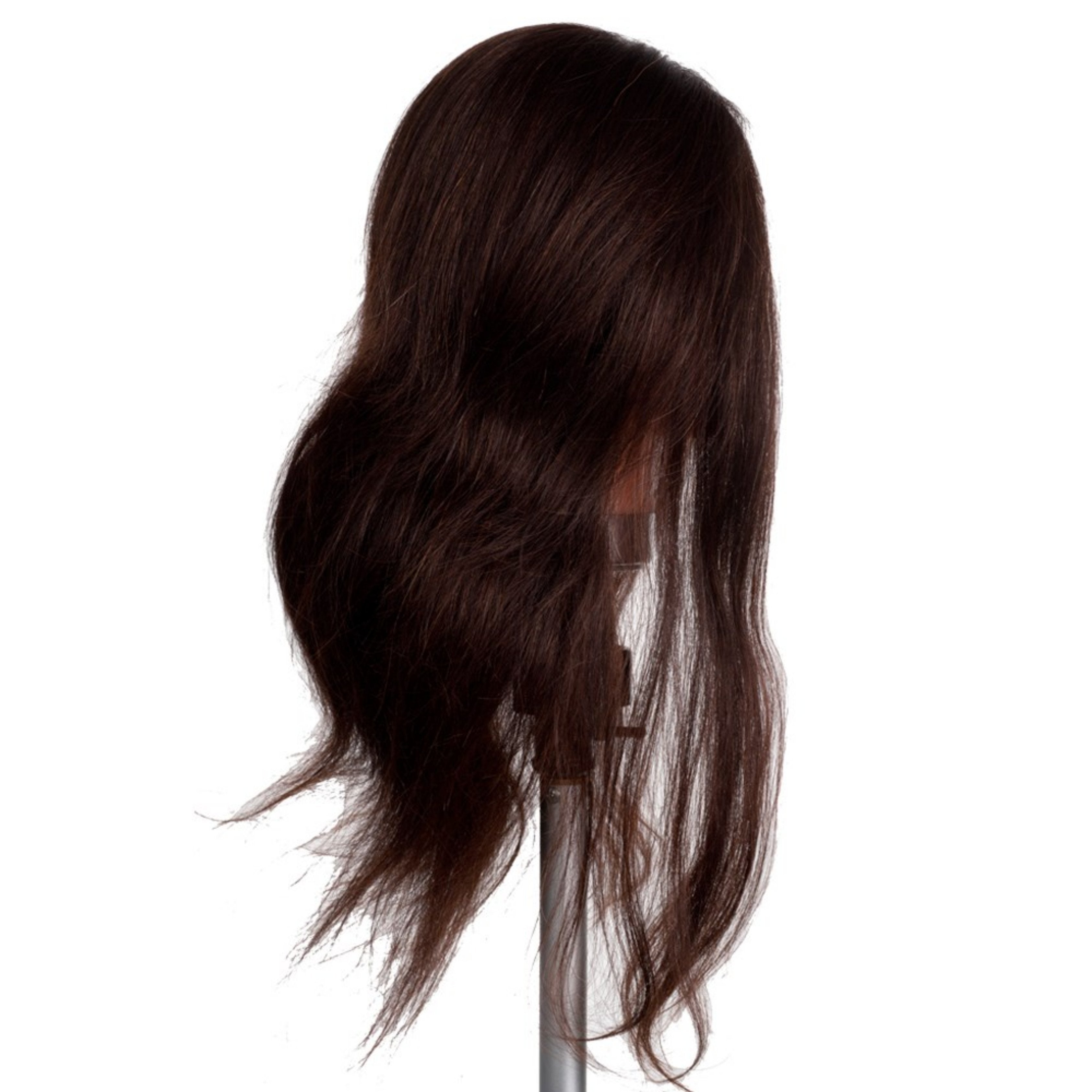 Mannequin Brown INDIA Alicia 20inch